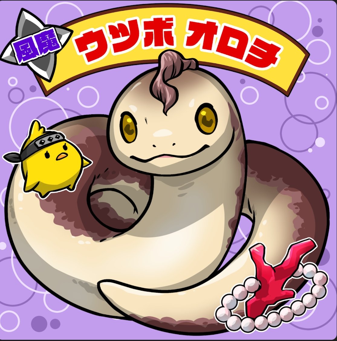 ---ポンポコタヌキ